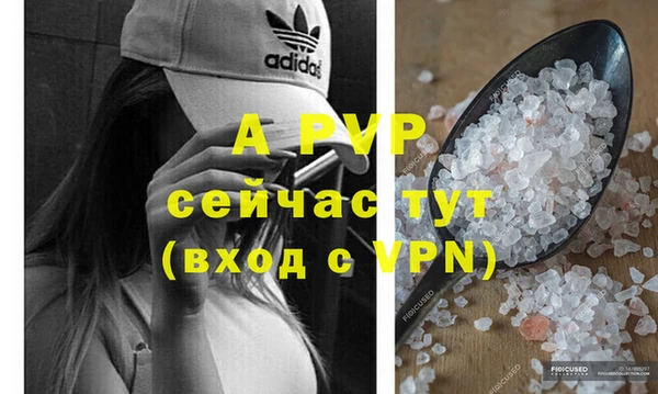 винт Алексин