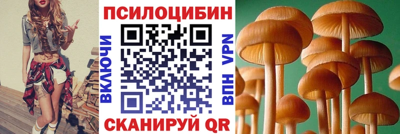 Псилоцибиновые грибы мицелий  Коряжма 