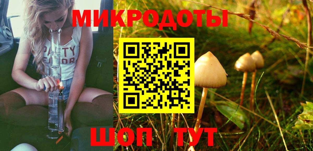 Псилоцибиновые грибы мухоморы  купить наркотики цена  Коряжма  Псилоцибиновые грибы прущие грибы  Вход с VPN 
