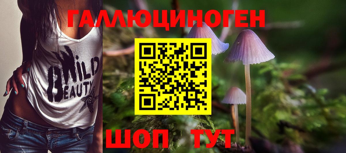 Псилоцибиновые грибы MAGIC MUSHROOMS Коряжма